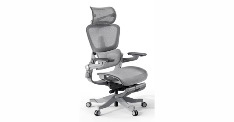 Hinomi Chair Review: A Comprehensive Look at Comfort, Design, and Performance