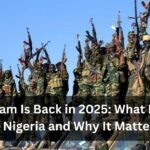 Boko Haram Is Back in 2025 What It Means for Nigeria and Why It Matters