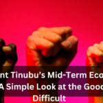 President Tinubu’s Mid-Term Economic Reforms A Simple Look at the Good and the Difficult