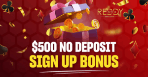 Top Reasons to Choose Reddy Book Club for Safe, Reliable & High-Value Betting