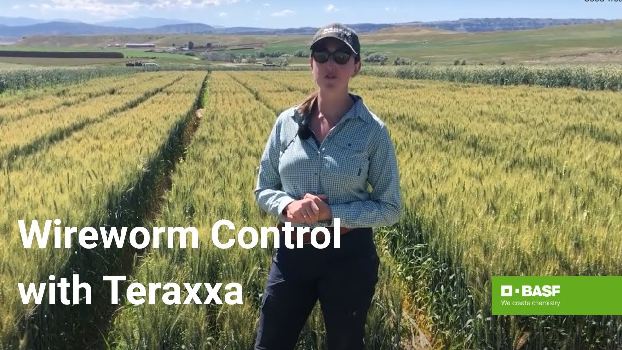 Reddy Book Win: Unlocking Free Books and Rewards with a Simple Digital Platform